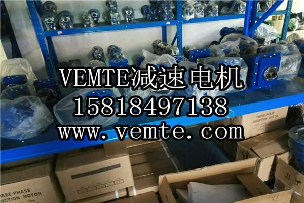 VEMT減速機(jī)電機(jī)制造廠(chǎng)家 (8)